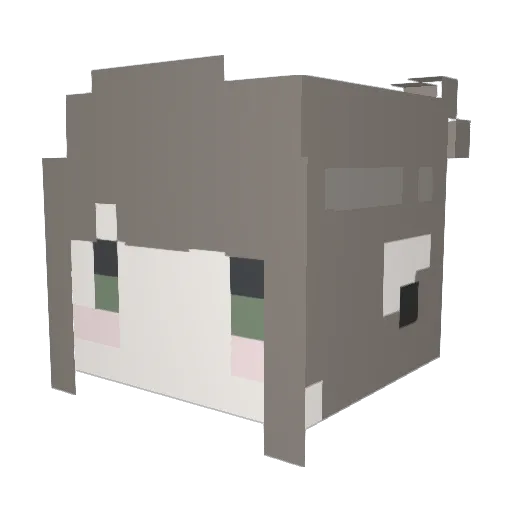 wheer Minecraft avatar head, 3D render
