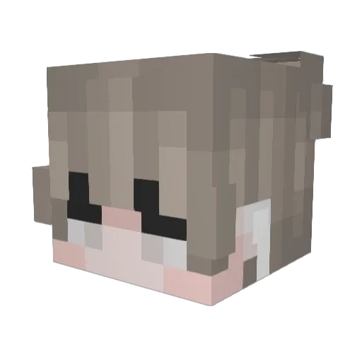 wheezily726 Minecraft avatar head, 3D render