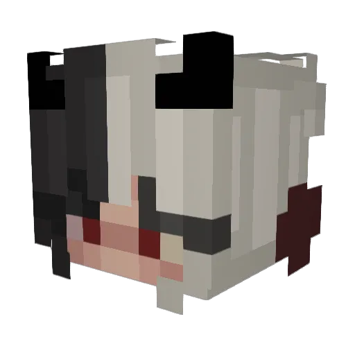 whenpigsfly571 Minecraft avatar head, 3D render