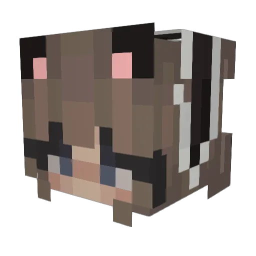 wherearemybeans Minecraft avatar head, 3D render
