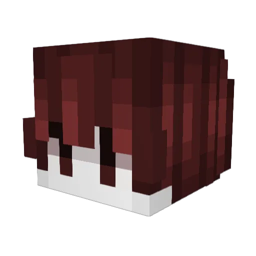 wheres911 Minecraft avatar head, 3D render