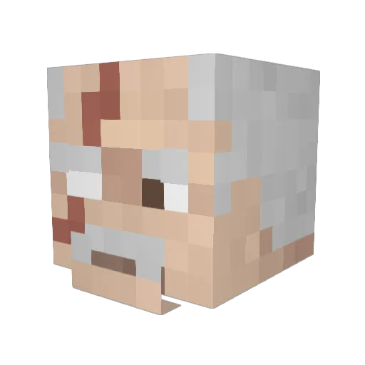 wheresthetowers Minecraft avatar head, 3D render