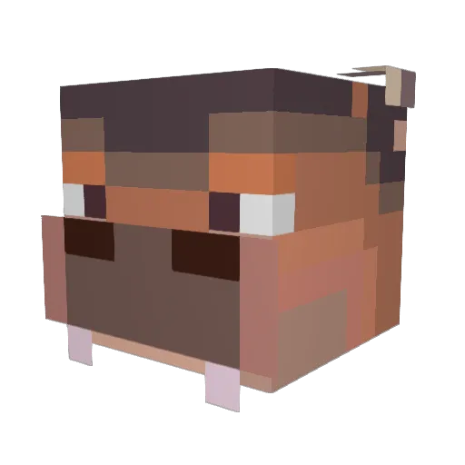 whereyatduckboy Minecraft avatar head, 3D render