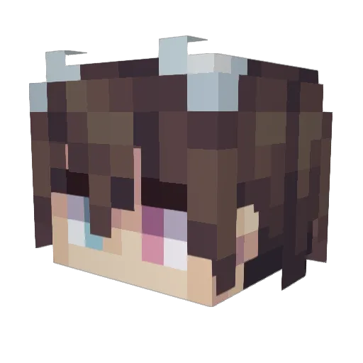 while1cry Minecraft avatar head, 3D render