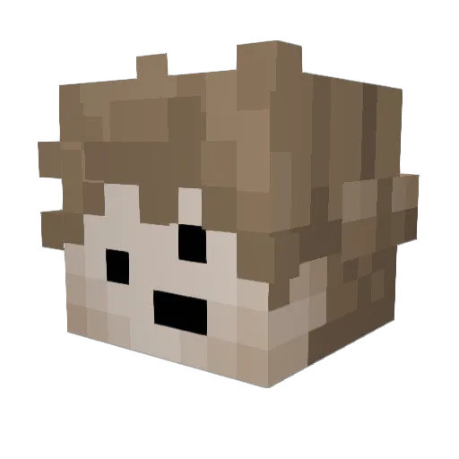 whimply Minecraft avatar head, 3D render