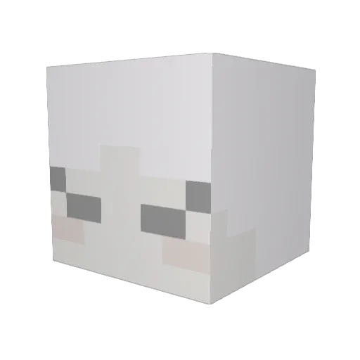 whimsiigoth Minecraft avatar head, 3D render