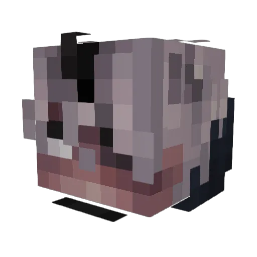 whinin Minecraft avatar head, 3D render