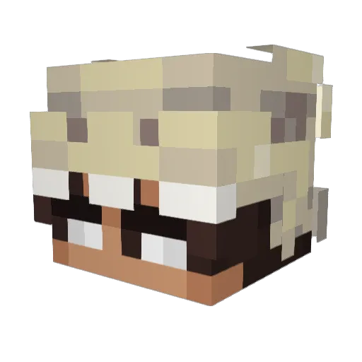whirlvoid Minecraft avatar head, 3D render
