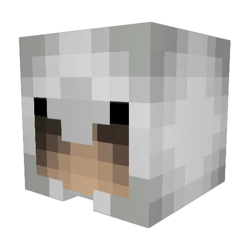 whisk3y1 Minecraft avatar head, 3D render