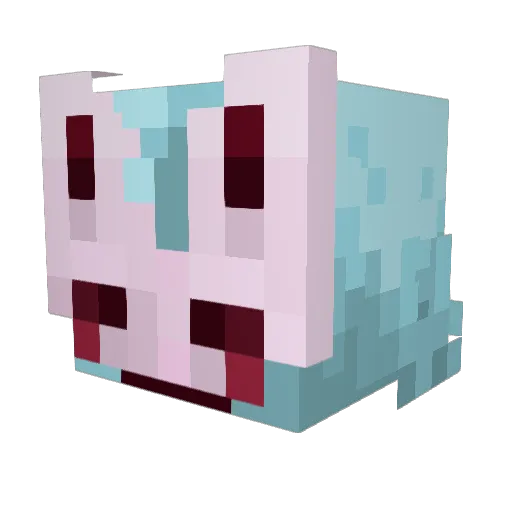 whiskercollector Minecraft avatar head, 3D render