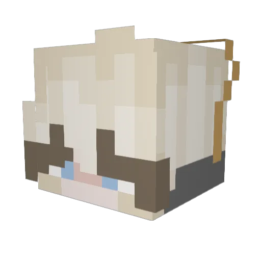 whiskersfan Minecraft avatar head, 3D render