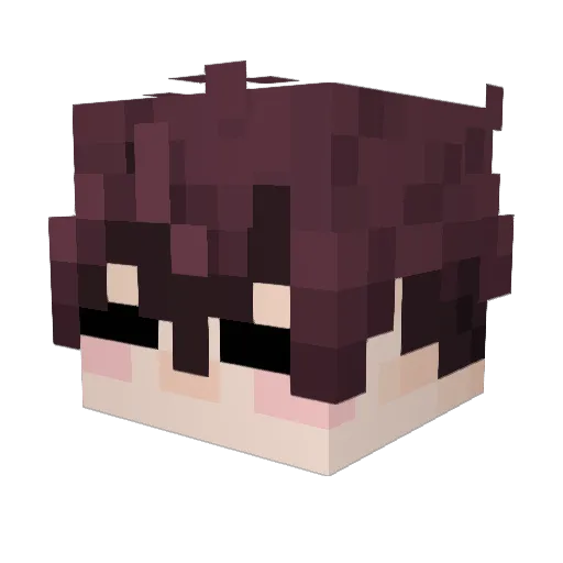 whiteBACK203 Minecraft avatar head, 3D render