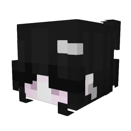 white_cattt Minecraft avatar head, 3D render