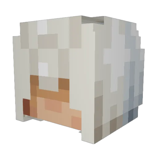 whitechips Minecraft avatar head, 3D render