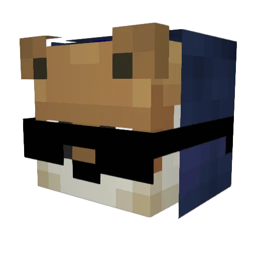 whitekote Minecraft avatar head, 3D render