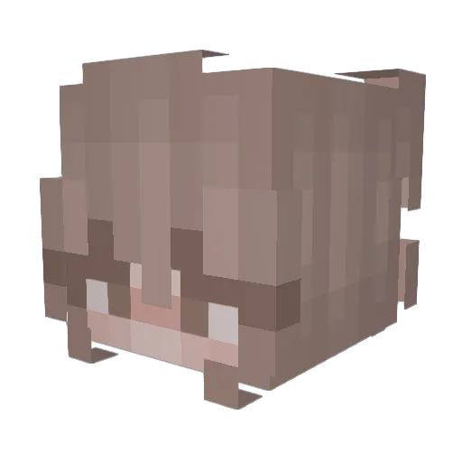whitelinenshirt Minecraft avatar head, 3D render