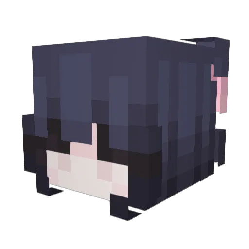 whiteoutuser Minecraft avatar head, 3D render