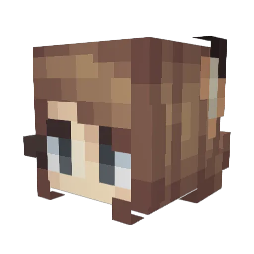 whiterabbit9x Minecraft avatar head, 3D render