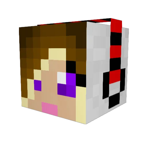 whiteteeshirt Minecraft avatar head, 3D render