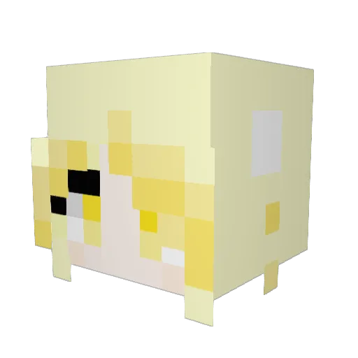 whitewb Minecraft avatar head, 3D render