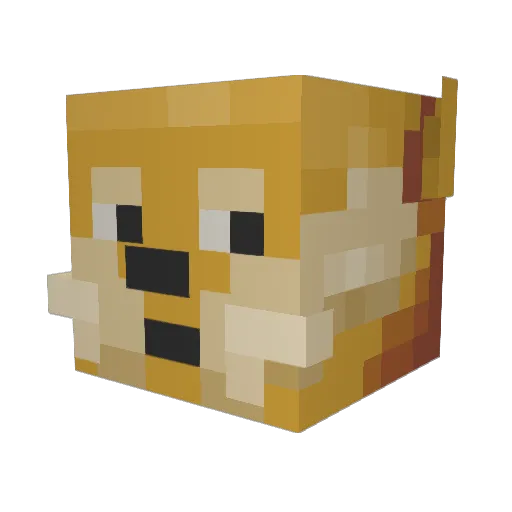 whizes Minecraft avatar head, 3D render