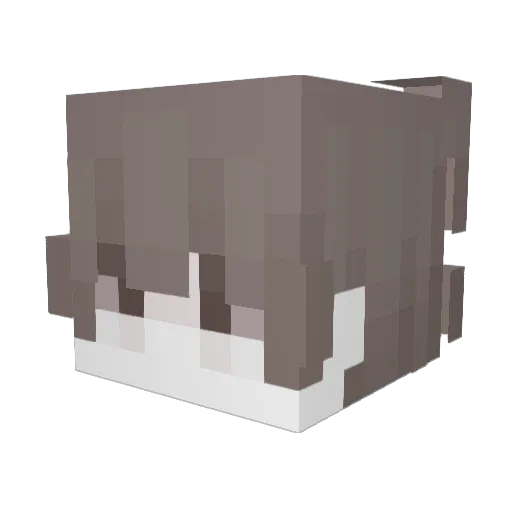 whizxiy Minecraft avatar head, 3D render