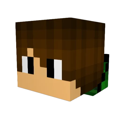 whj2005 Minecraft avatar head, 3D render