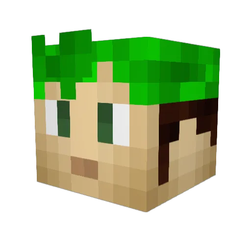 who1011 Minecraft avatar head, 3D render