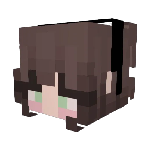 who1sof Minecraft avatar head, 3D render