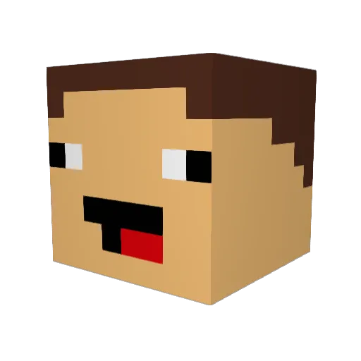 who_dis_be Minecraft avatar head, 3D render