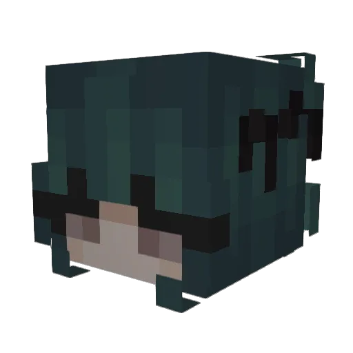 who_is_bri Minecraft avatar head, 3D render