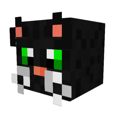 whoa123ify Minecraft avatar head, 3D render