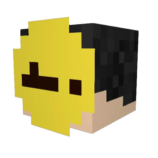 whoadudestop Minecraft avatar head, 3D render