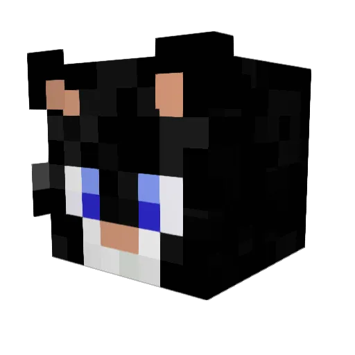 whoaskedsamy Minecraft avatar head, 3D render