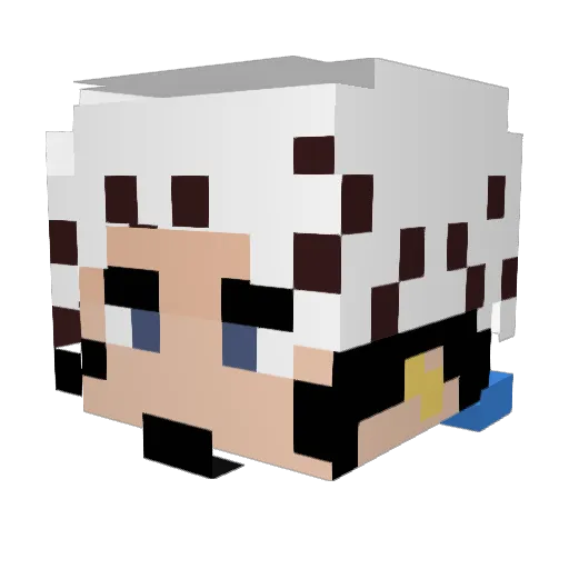 whocares77 Minecraft avatar head, 3D render