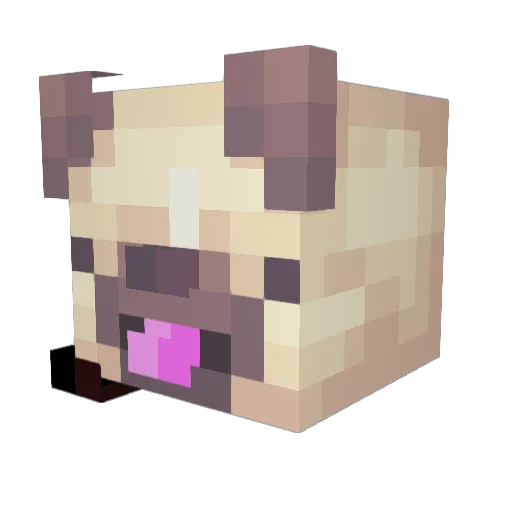 whofarted21 Minecraft avatar head, 3D render
