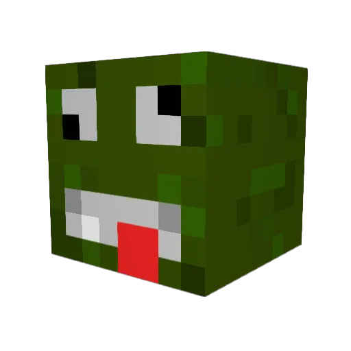 whogivesashit Minecraft avatar head, 3D render
