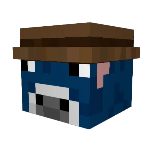 whogotdi0r Minecraft avatar head, 3D render