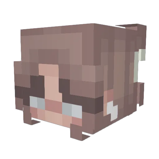 whoisari Minecraft avatar head, 3D render