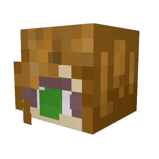 whoisfez Minecraft avatar head, 3D render