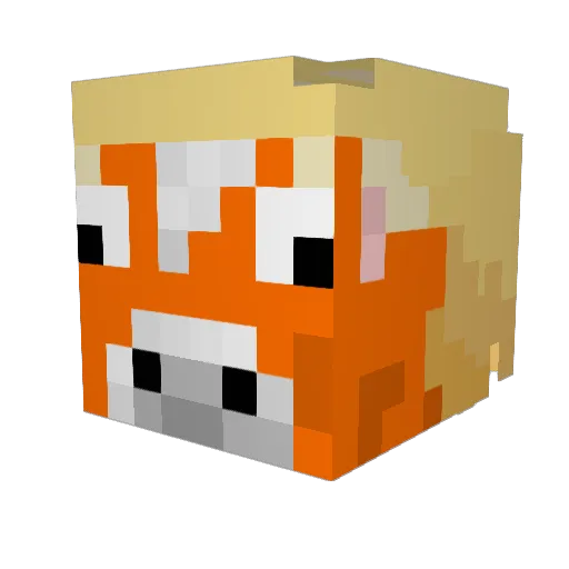 whoisnahte Minecraft avatar head, 3D render