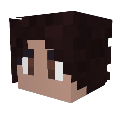 whoissallad Minecraft avatar head, 3D render
