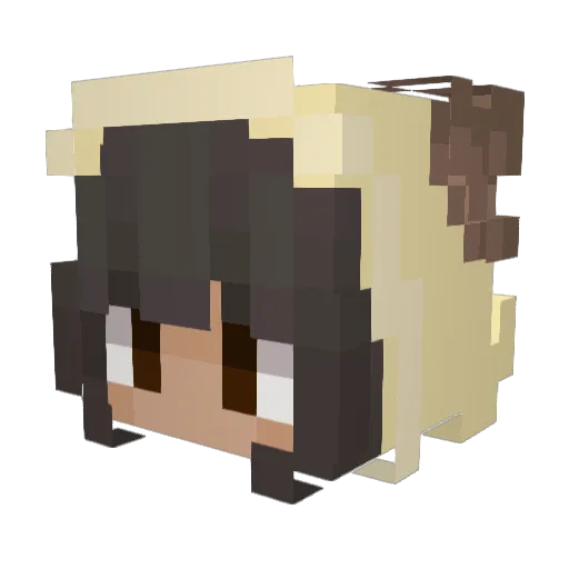 whoissam Minecraft avatar head, 3D render
