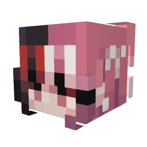 wholewheatloaf Minecraft avatar head, 3D render
