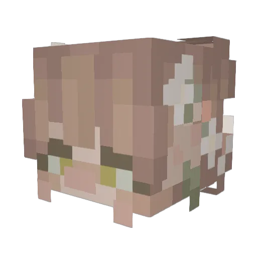 whompwhomp1 Minecraft avatar head, 3D render