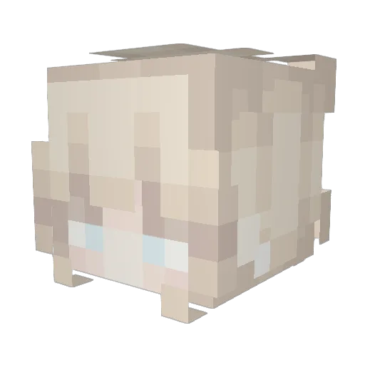 whonix_ Minecraft avatar head, 3D render