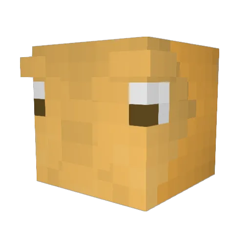 whoopcamel Minecraft avatar head, 3D render