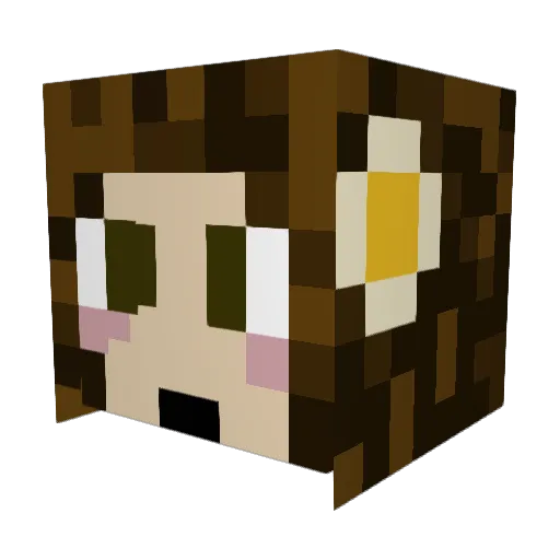whoops12 Minecraft avatar head, 3D render