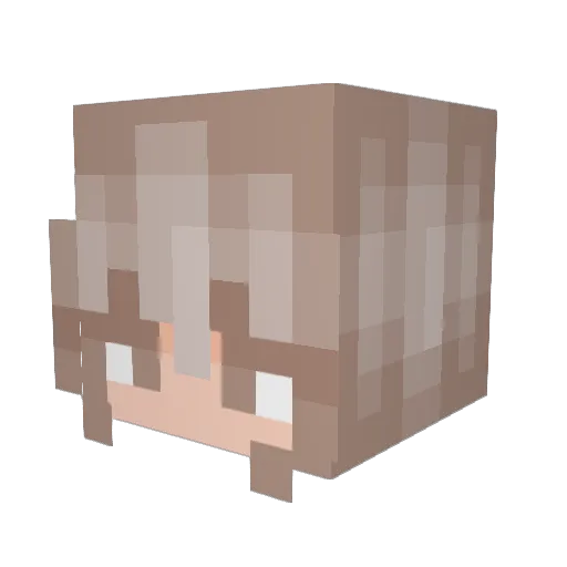 whosNis Minecraft avatar head, 3D render