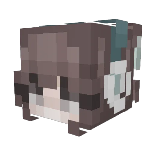 whosbriane Minecraft avatar head, 3D render